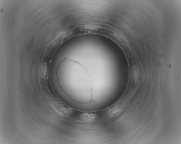 X0000089880328200706281356