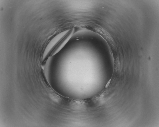 X0000089880329200706281356