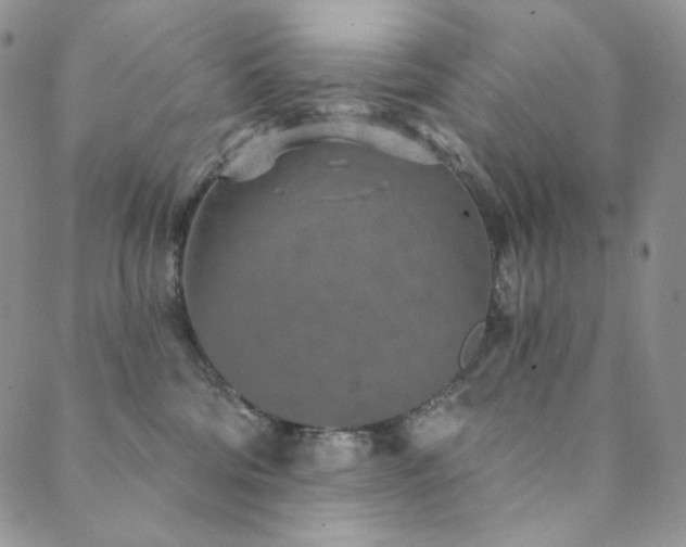 X0000089880330200706281356