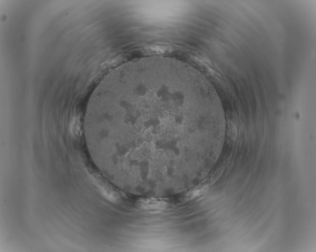 X0000089880331200706281356