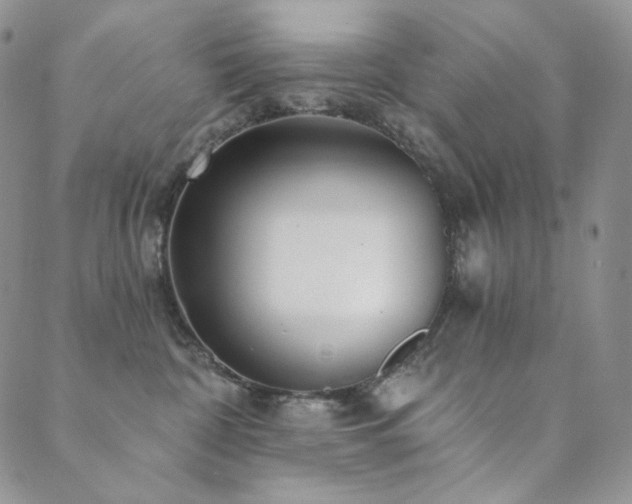 X0000089880332200706281356