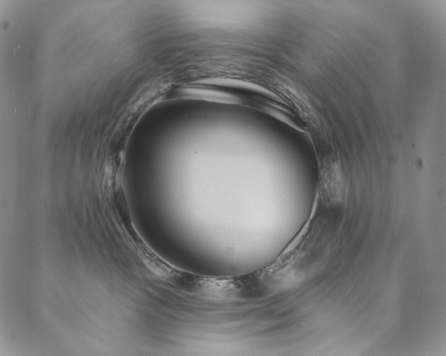 X0000089880333200706281356