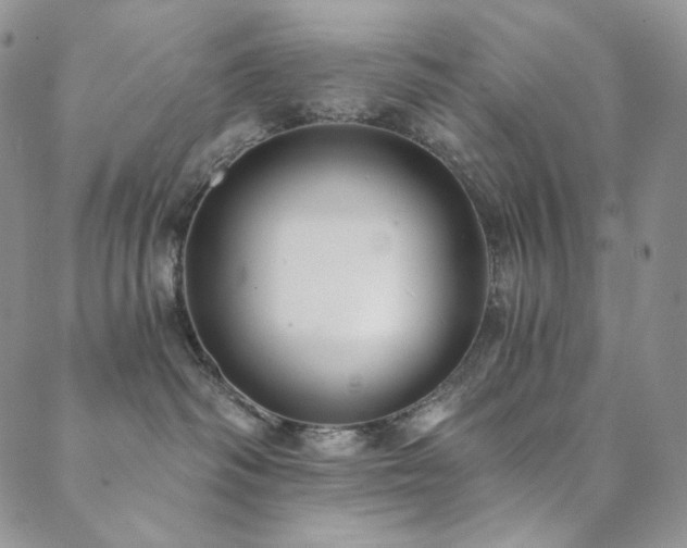 X0000089880334200706281356