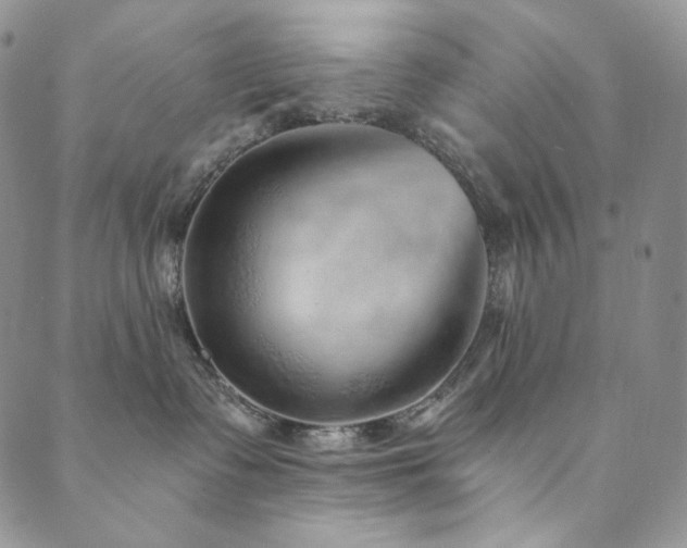 X0000089880335200706281356