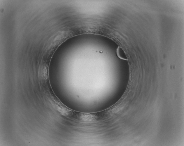 X0000089880336200706281356