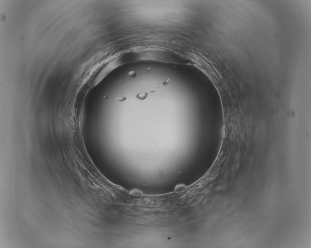 X0000089880338200706281355