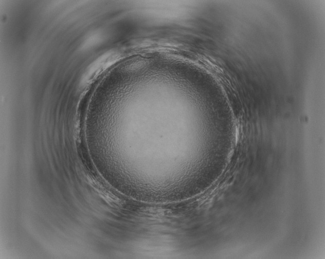 X0000089880339200706281355