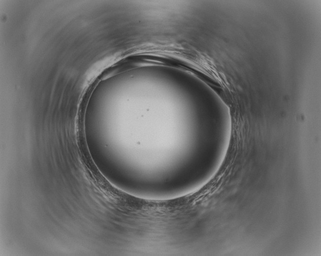 X0000089880340200706281355