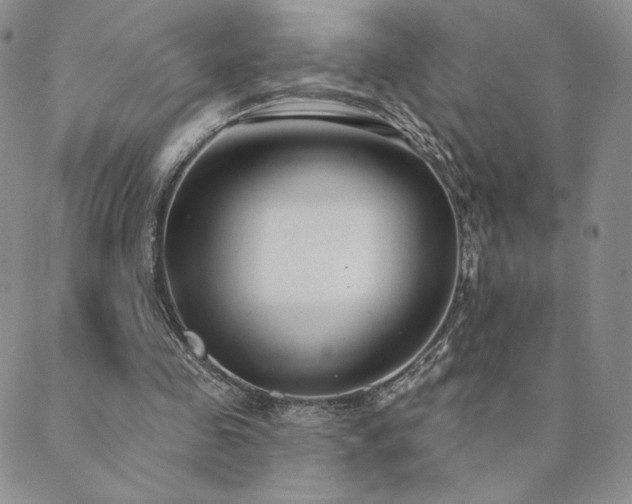 X0000089880341200706281355