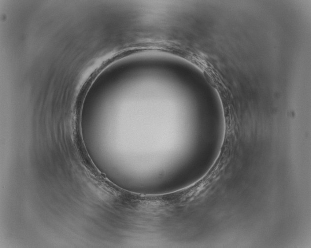 X0000089880342200706281355