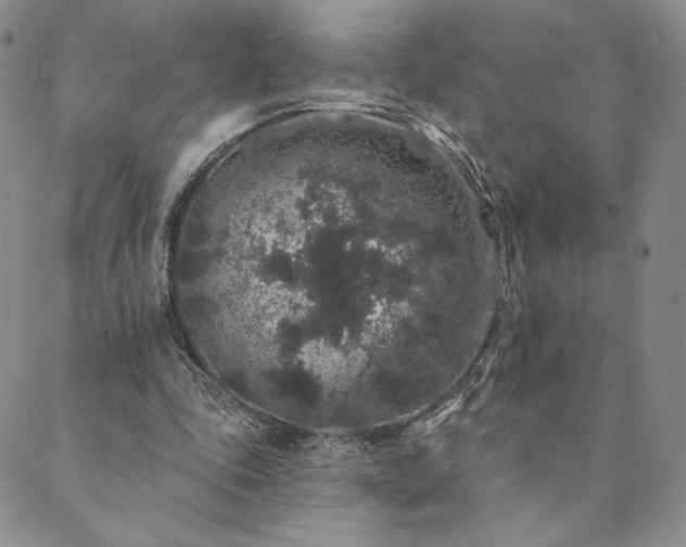 X0000089880343200706281355