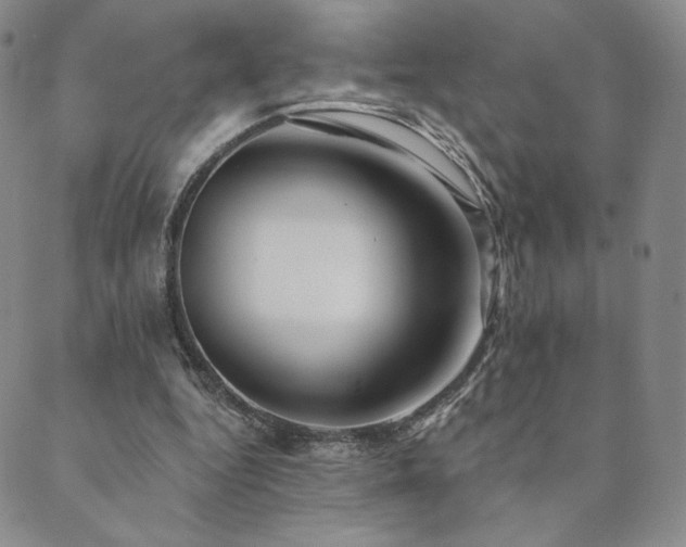 X0000089880344200706281355