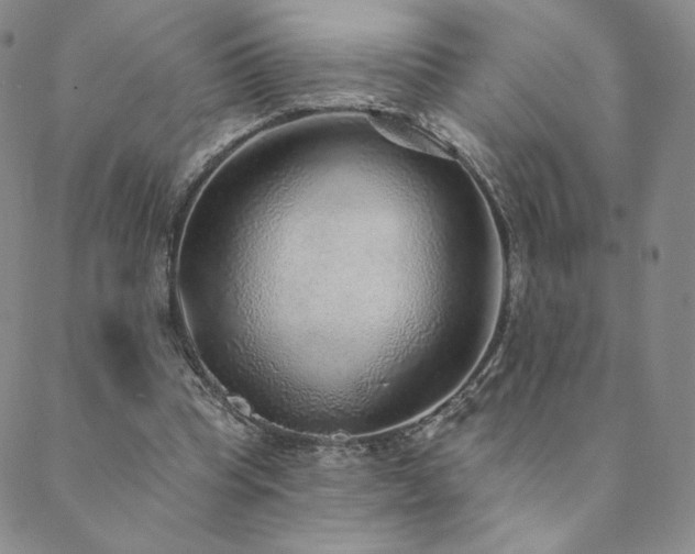 X0000089880345200706281355