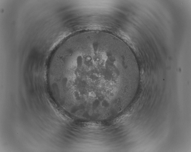 X0000089880347200706281355