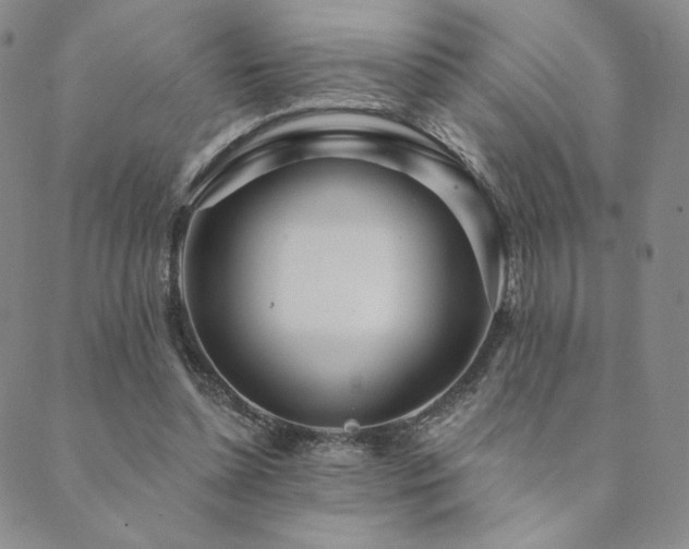 X0000089880348200706281355