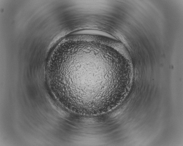 X0000089880349200706281355