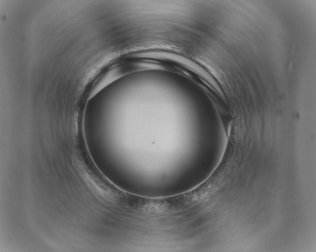 X0000089880350200706281355