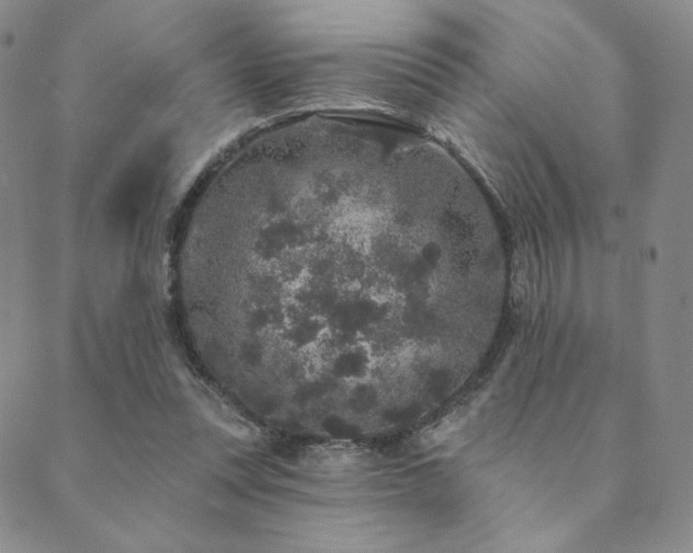 X0000089880351200706281355