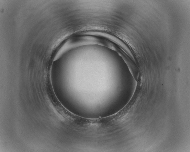 X0000089880352200706281355