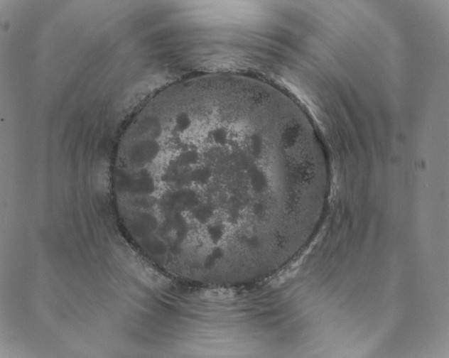 X0000089880353200706281355