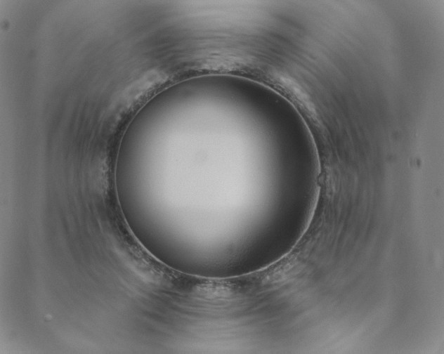 X0000089880354200706281355