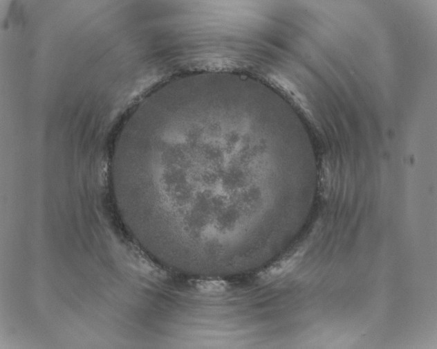 X0000089880355200706281355