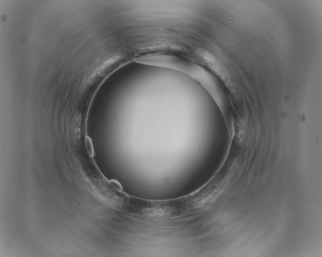 X0000089880356200706281355