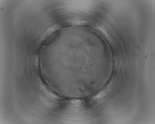 X0000089880357200706281355