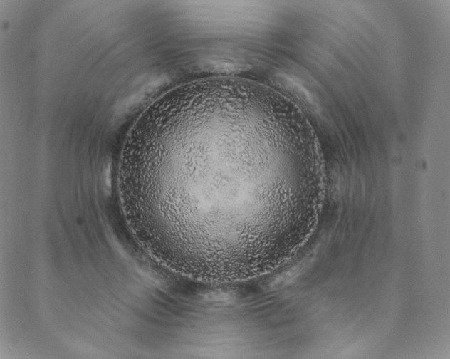 X0000089880358200706281355