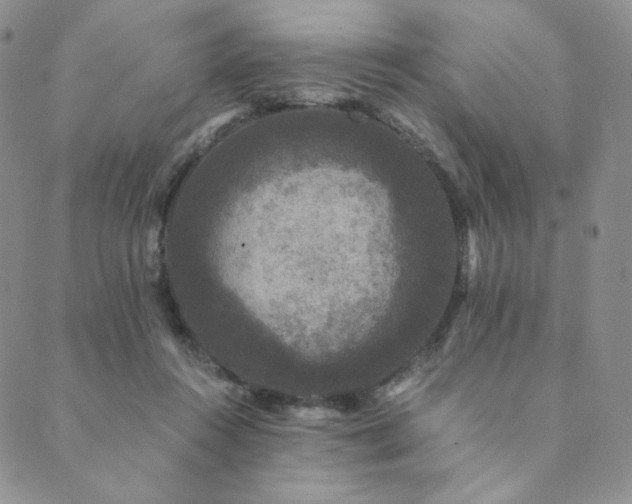 X0000089880360200706281355