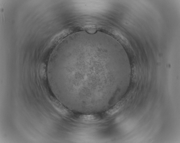 X0000089880361200706281355