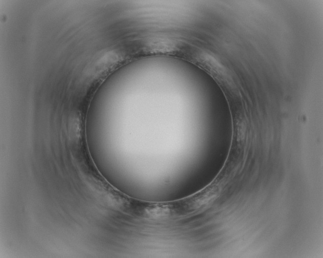 X0000089880362200706281355