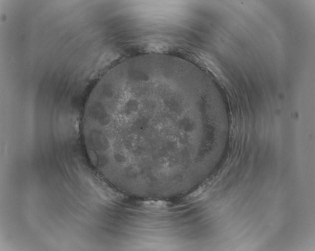 X0000089880363200706281355