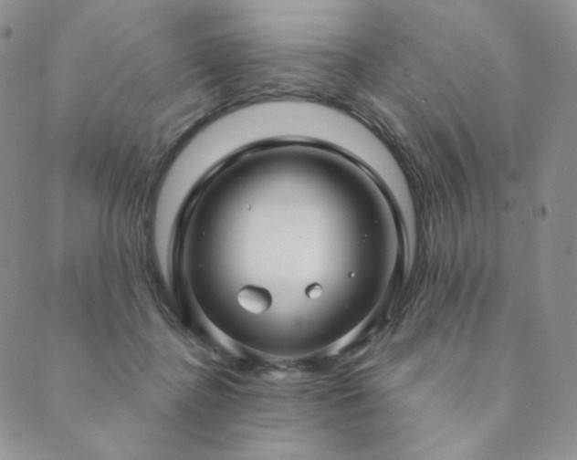 X0000089880364200706281355