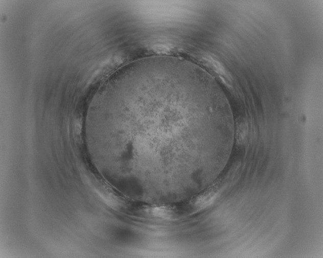 X0000089880365200706281355