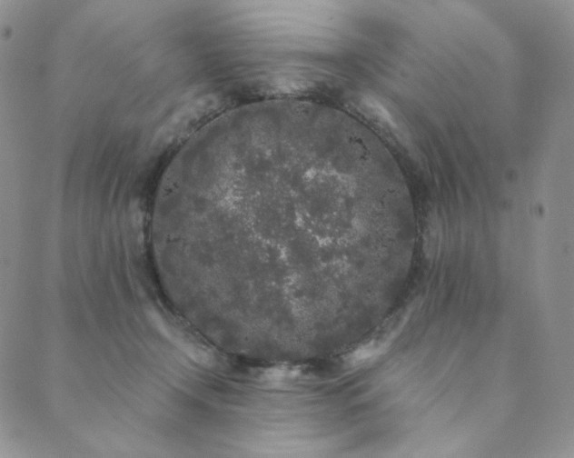 X0000089880366200706281355