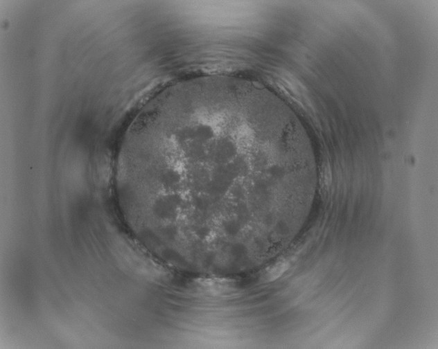 X0000089880367200706281355