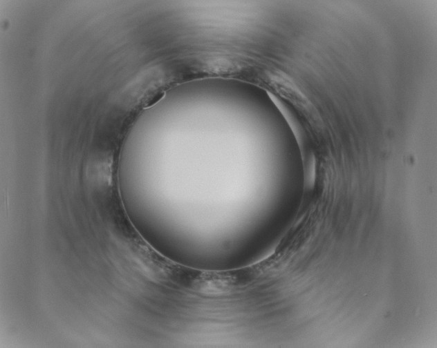 X0000089880368200706281355