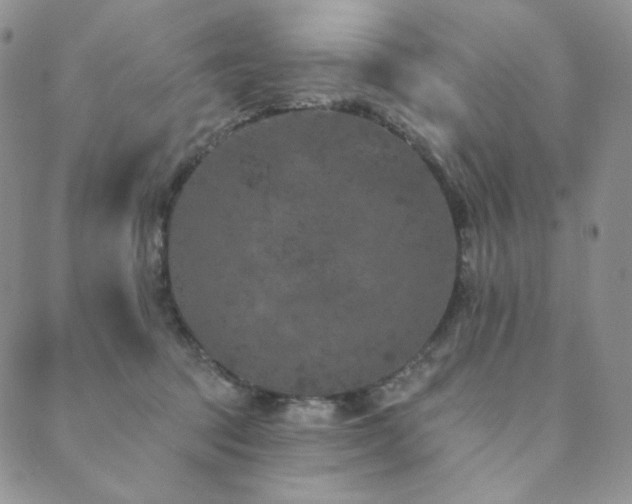 X0000089880369200706281355