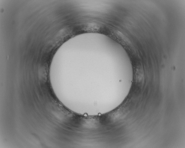 X0000089880370200706281355