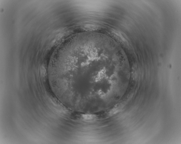 X0000089880371200706281355