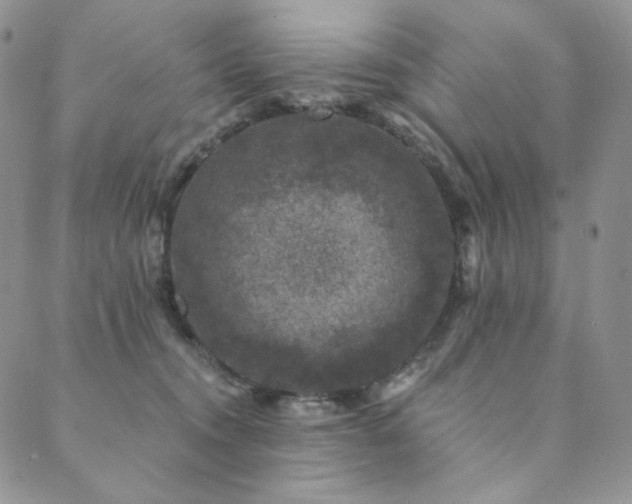 X0000089880372200706281355