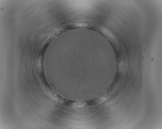 X0000089880373200706281355