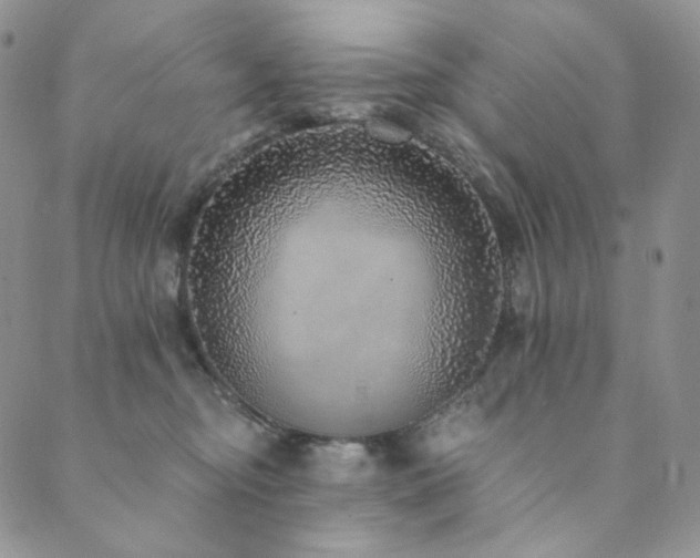 X0000089880374200706281355