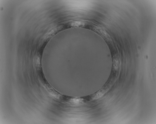 X0000089880375200706281356