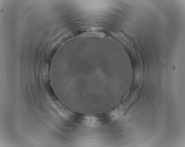 X0000089880376200706281356