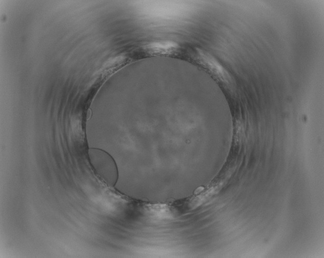 X0000089880377200706281356