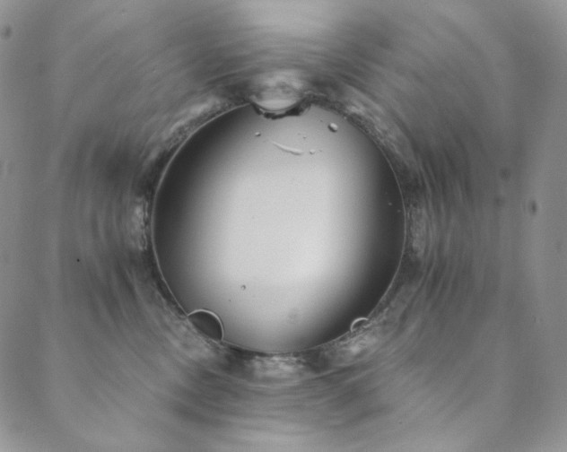 X0000089880378200706281356