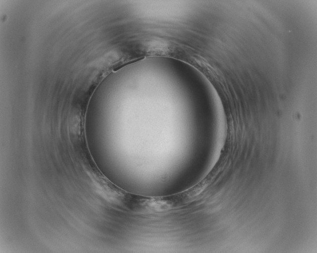 X0000089880379200706281356