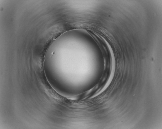 X0000089880380200706281356